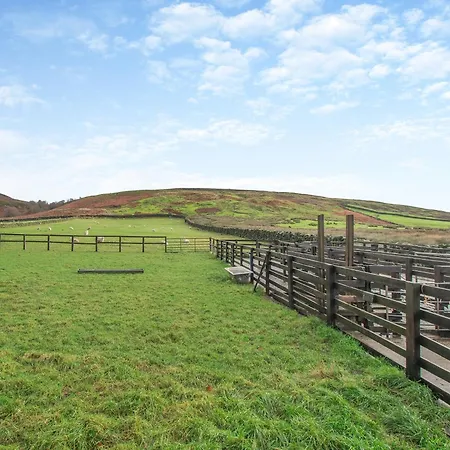 Little Pythorn - Uk45253