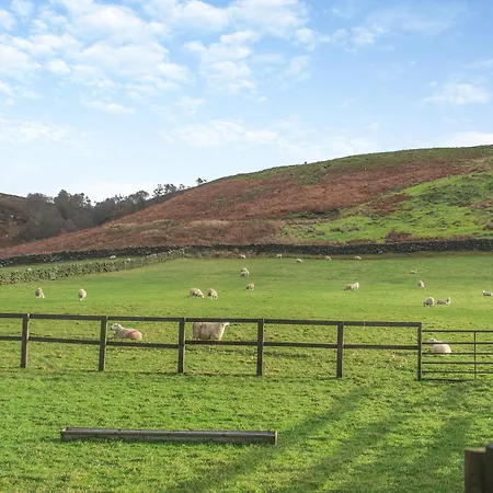 Holiday home Little Pythorne - Uk45253